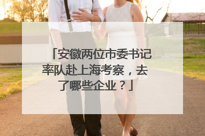 安徽两位市委书记率队赴上海考察，去了哪些企业？