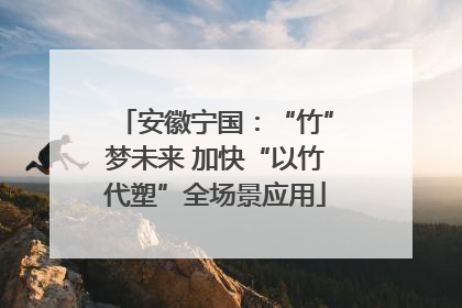 安徽宁国：“竹”梦未来 加快“以竹代塑”全场景应用
