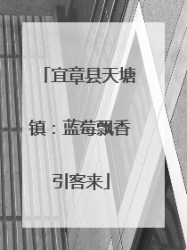 宜章县天塘镇：蓝莓飘香引客来