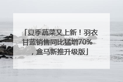 夏季蔬菜又上新！羽衣甘蓝销售同比猛增70%，盒马新推升级版