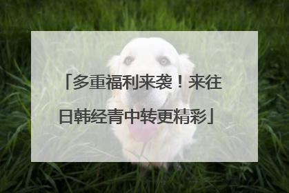 多重福利来袭！来往日韩经青中转更精彩