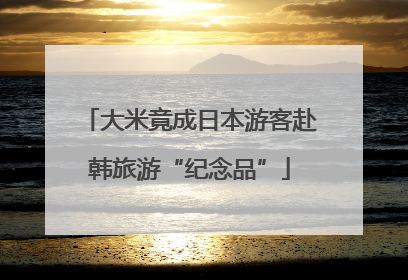 大米竟成日本游客赴韩旅游“纪念品”