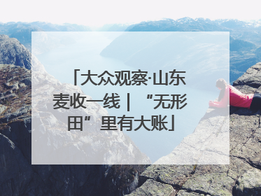 大众观察·山东麦收一线｜“无形田”里有大账