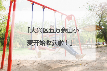 大兴区五万余亩小麦开始收获啦！