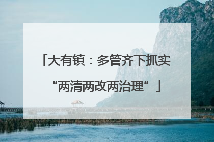 大有镇：多管齐下抓实“两清两改两治理”