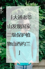 大通老爷山发现国家二级保护植物山西杓兰