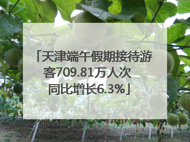 天津端午假期接待游客709.81万人次 同比增长6.3%