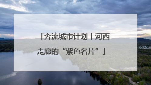 奔流城市计划丨河西走廊的“紫色名片”