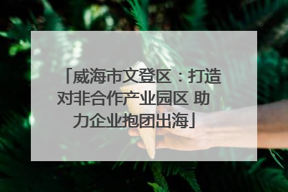 威海市文登区：打造对非合作产业园区 助力企业抱团出海