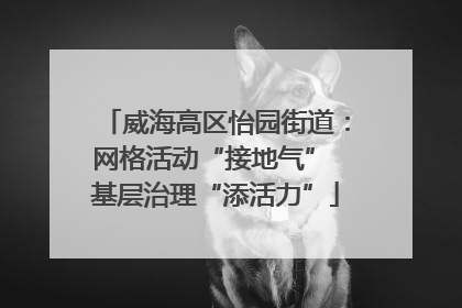 威海高区怡园街道：网格活动“接地气” 基层治理“添活力”