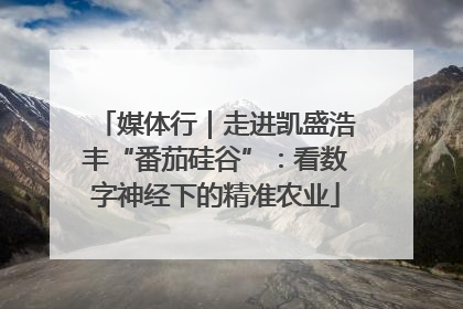 媒体行｜走进凯盛浩丰“番茄硅谷”：看数字神经下的精准农业