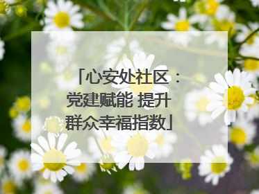 心安处社区：党建赋能 提升群众幸福指数