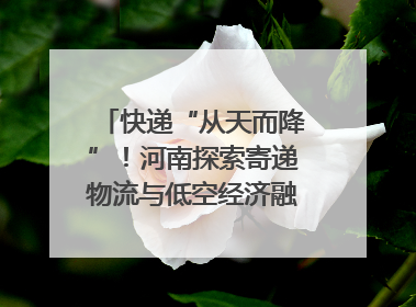 快递“从天而降”！河南探索寄递物流与低空经济融合发展｜一线