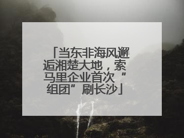 当东非海风邂逅湘楚大地，索马里企业首次“组团”刷长沙