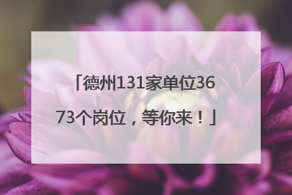 德州131家单位3673个岗位，等你来！