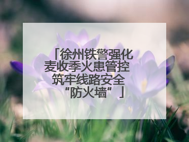 徐州铁警强化麦收季火患管控 筑牢线路安全“防火墙”