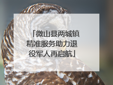 微山县两城镇精准服务助力退役军人再启航