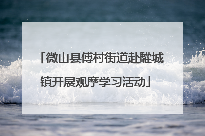 微山县傅村街道赴驩城镇开展观摩学习活动