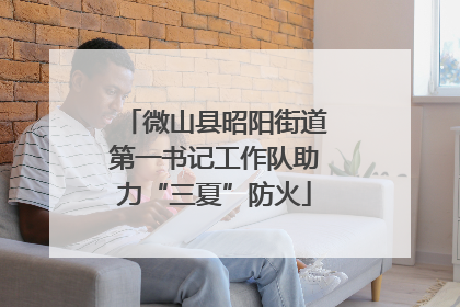 微山县昭阳街道第一书记工作队助力“三夏”防火