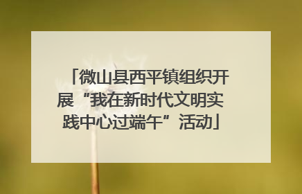微山县西平镇组织开展“我在新时代文明实践中心过端午”活动