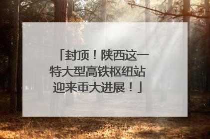封顶！陕西这一特大型高铁枢纽站迎来重大进展！