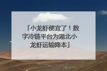 小龙虾便宜了！数字冷链平台为湖北小龙虾运输降本