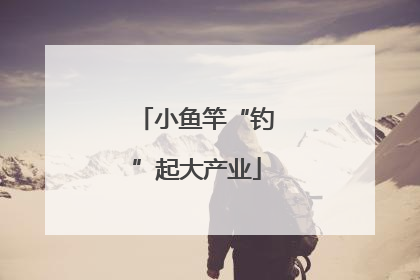 小鱼竿“钓”起大产业