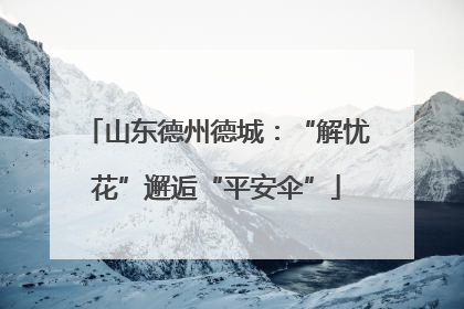 山东德州德城：“解忧花”邂逅“平安伞”