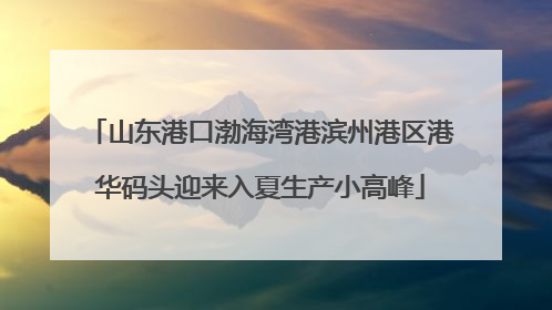 山东港口渤海湾港滨州港区港华码头迎来入夏生产小高峰