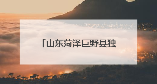 山东菏泽巨野县独山镇第一书记搭桥：山钢集团采购帮扶村西瓜助农增收