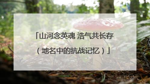 山河念英魂 浩气共长存（地名中的抗战记忆）