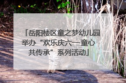 岳阳楼区童之梦幼儿园举办“欢乐庆六一·童心共传承”系列活动