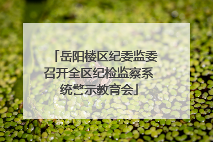 岳阳楼区纪委监委召开全区纪检监察系统警示教育会