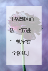 岳麓区消防 “五进” 筑牢安全防线