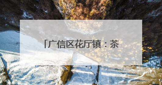广信区花厅镇：茶香飘出致富路 绿水青山绘新篇（图）