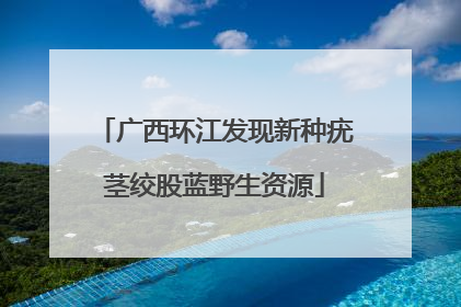 广西环江发现新种疣茎绞股蓝野生资源