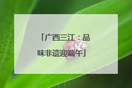 广西三江：品味非遗迎端午