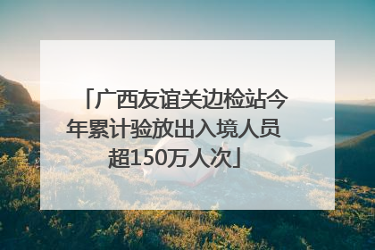 广西友谊关边检站今年累计验放出入境人员超150万人次