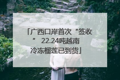 广西口岸首次“签收” 22.24吨越南冷冻榴莲已到货