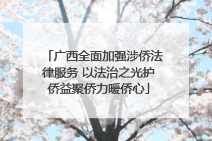广西全面加强涉侨法律服务 以法治之光护侨益聚侨力暖侨心