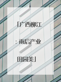 广西柳江：雨后产业田园美