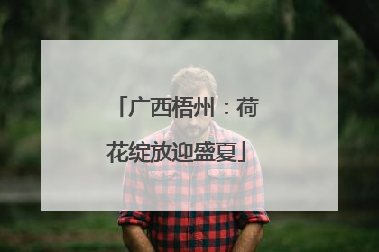 广西梧州：荷花绽放迎盛夏