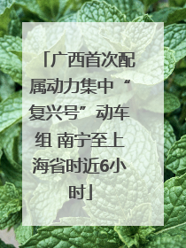 广西首次配属动力集中“复兴号”动车组 南宁至上海省时近6小时