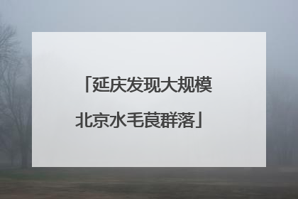 延庆发现大规模北京水毛茛群落
