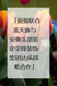 强强联合 蓝天豚与安徽头部装企荣锋装饰集团达成战略合作
