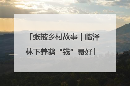 张掖乡村故事｜临泽林下养鹅“钱”景好