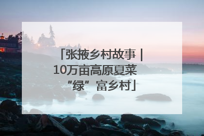 张掖乡村故事｜10万亩高原夏菜“绿”富乡村