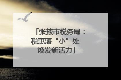 张掖市税务局：税惠落“小”处 焕发新活力