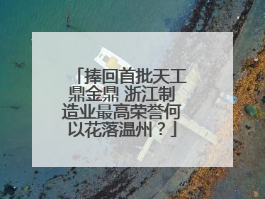 捧回首批天工鼎金鼎 浙江制造业最高荣誉何以花落温州？