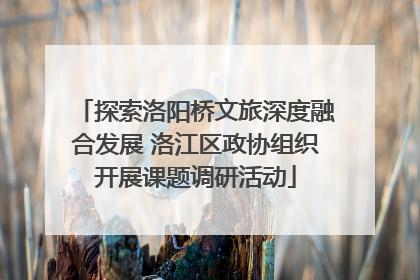 探索洛阳桥文旅深度融合发展 洛江区政协组织开展课题调研活动